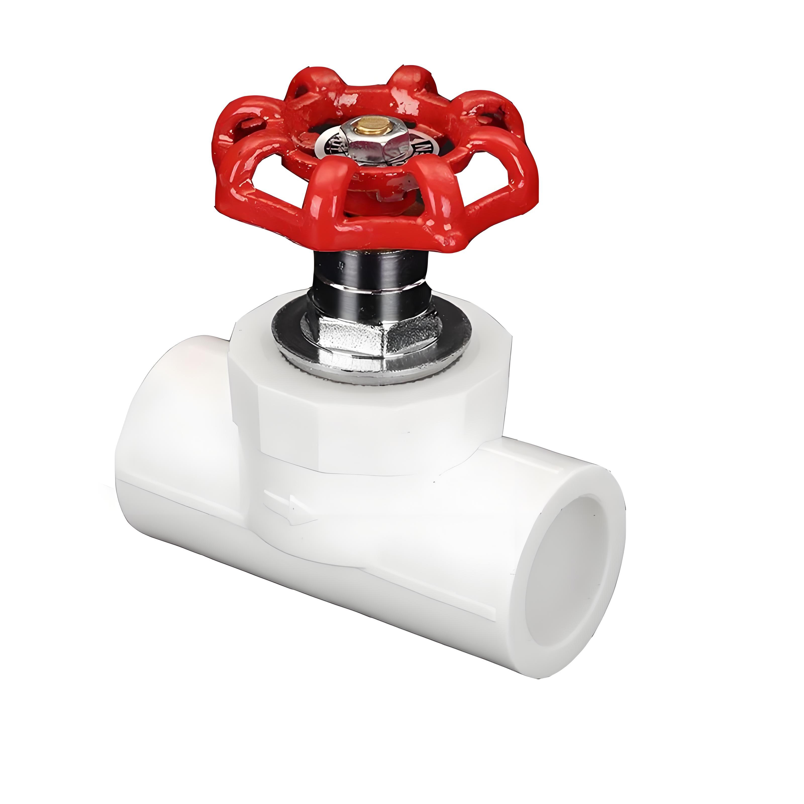 PPR Globe Valve