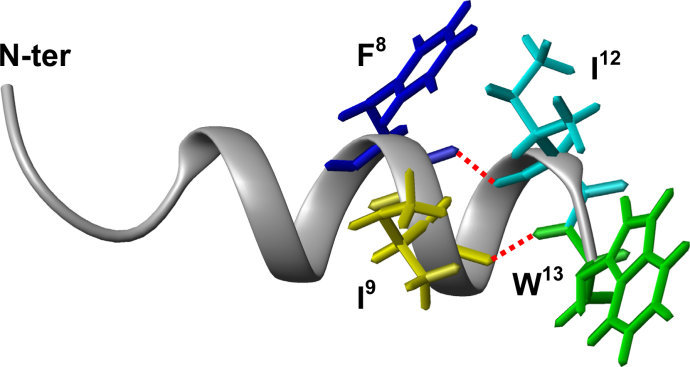 Basic introduction to active peptides