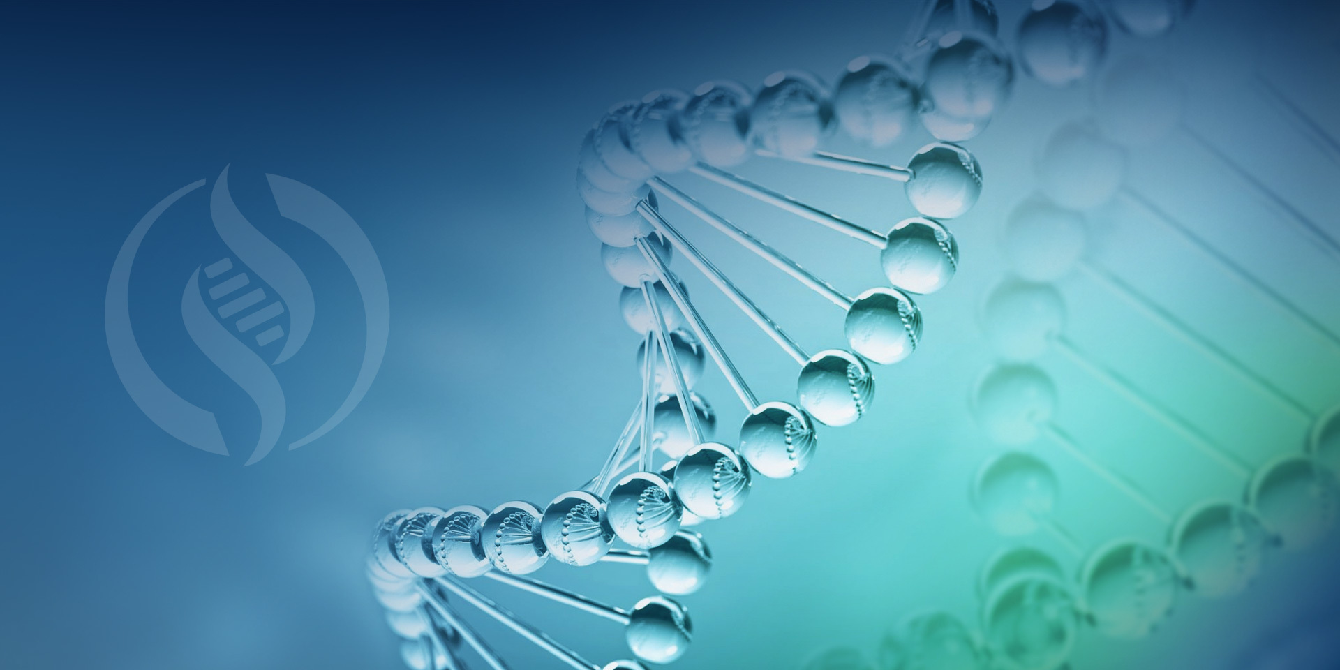 Focusing on the Pharmaceutical Engineering Industry Chain
