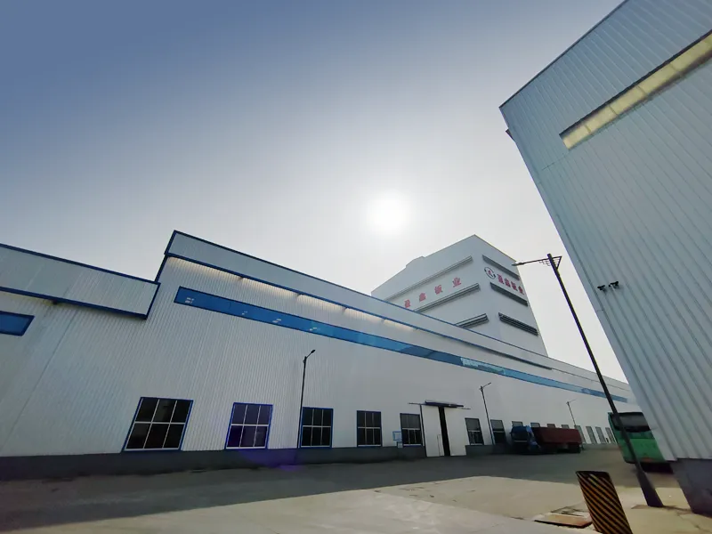 Company Overview