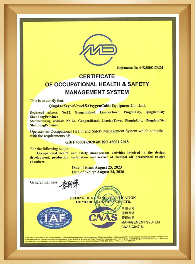 Occupational Health & Safety Management System Occupational Health & Safety Management System