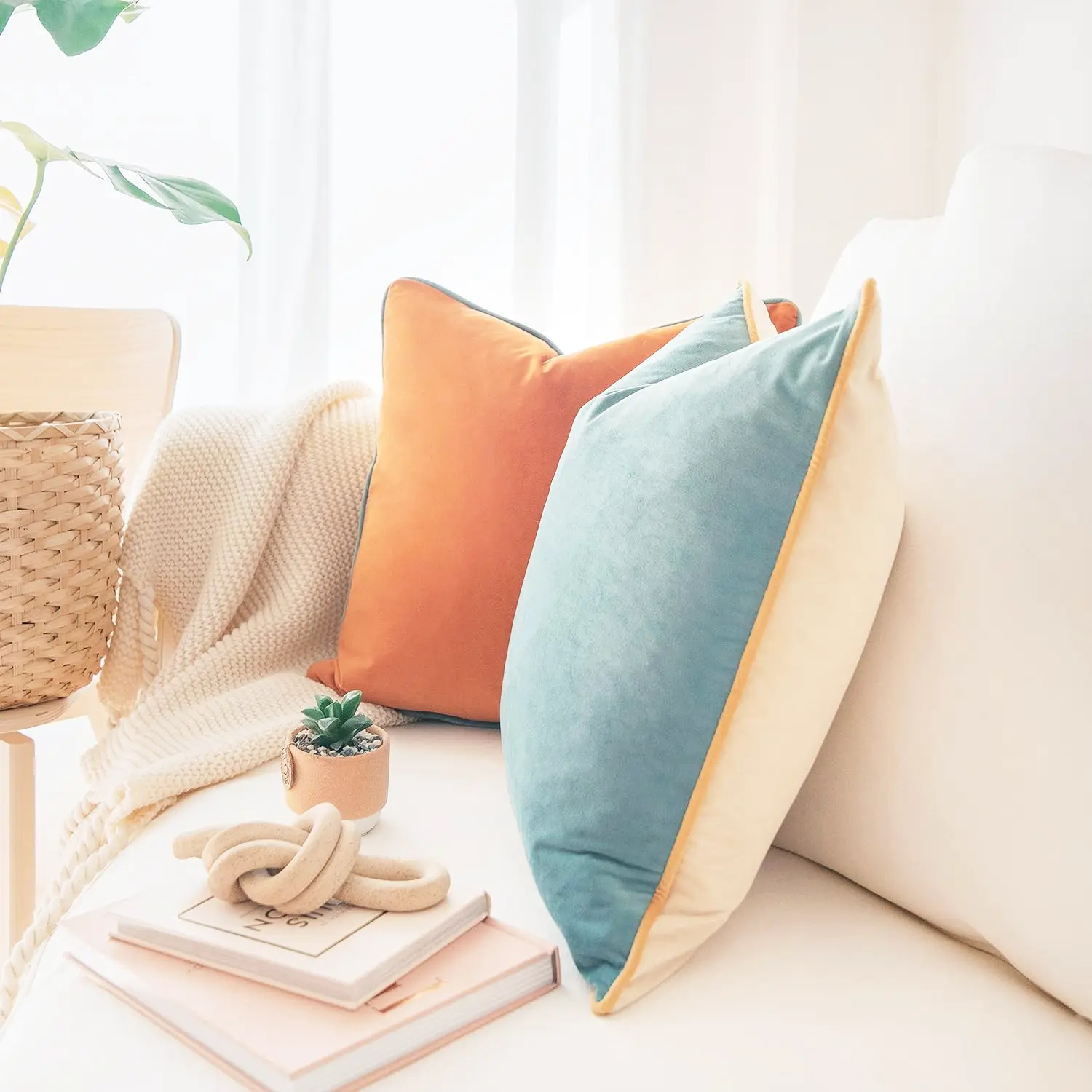 Cushion Cushion