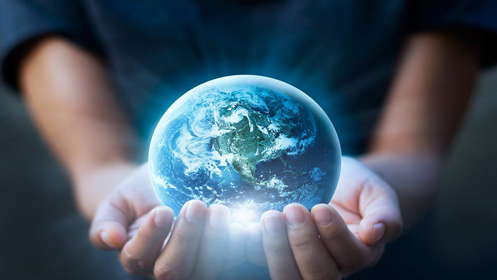 Jointly source high-quality raw materials from around the world