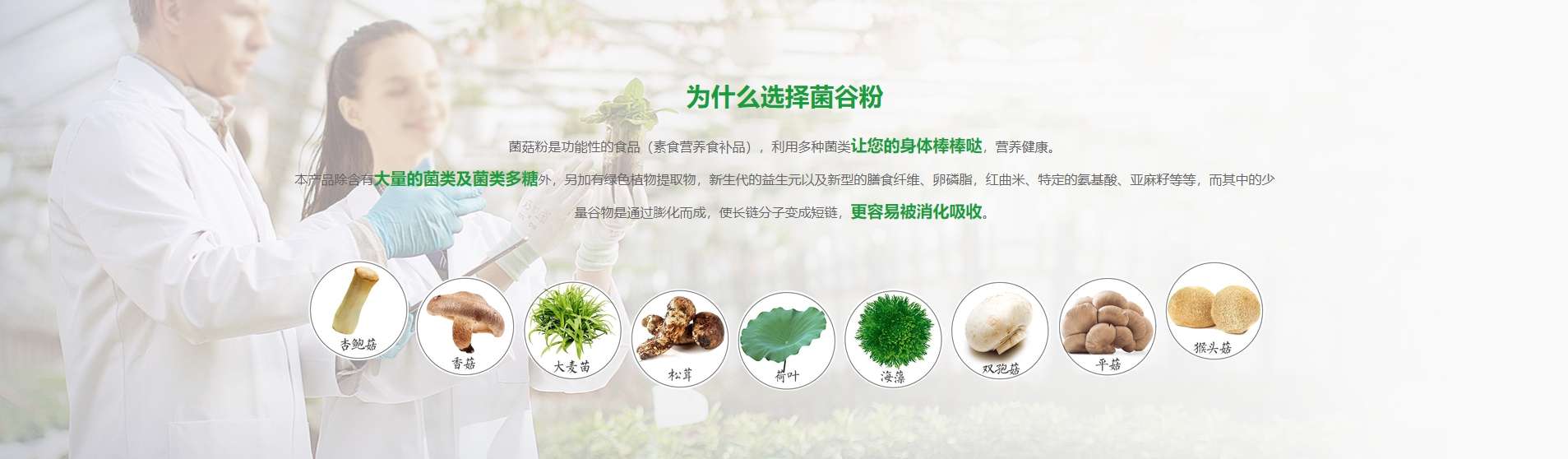 邢臺(tái)奧美菌業(yè)有限公司 邢臺(tái)奧美菌業(yè)有限公司