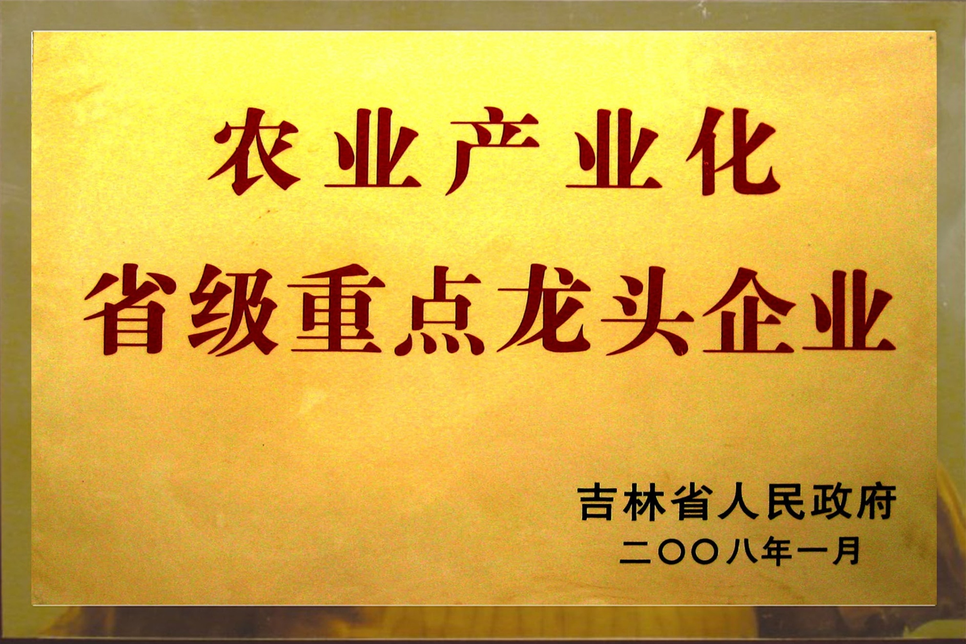 2008省級龍頭企業
