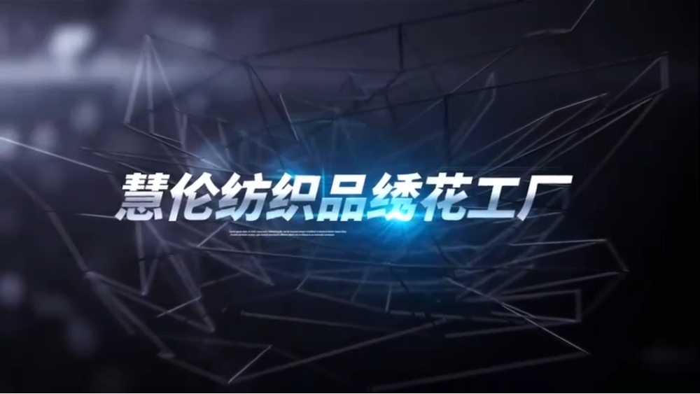视频标题