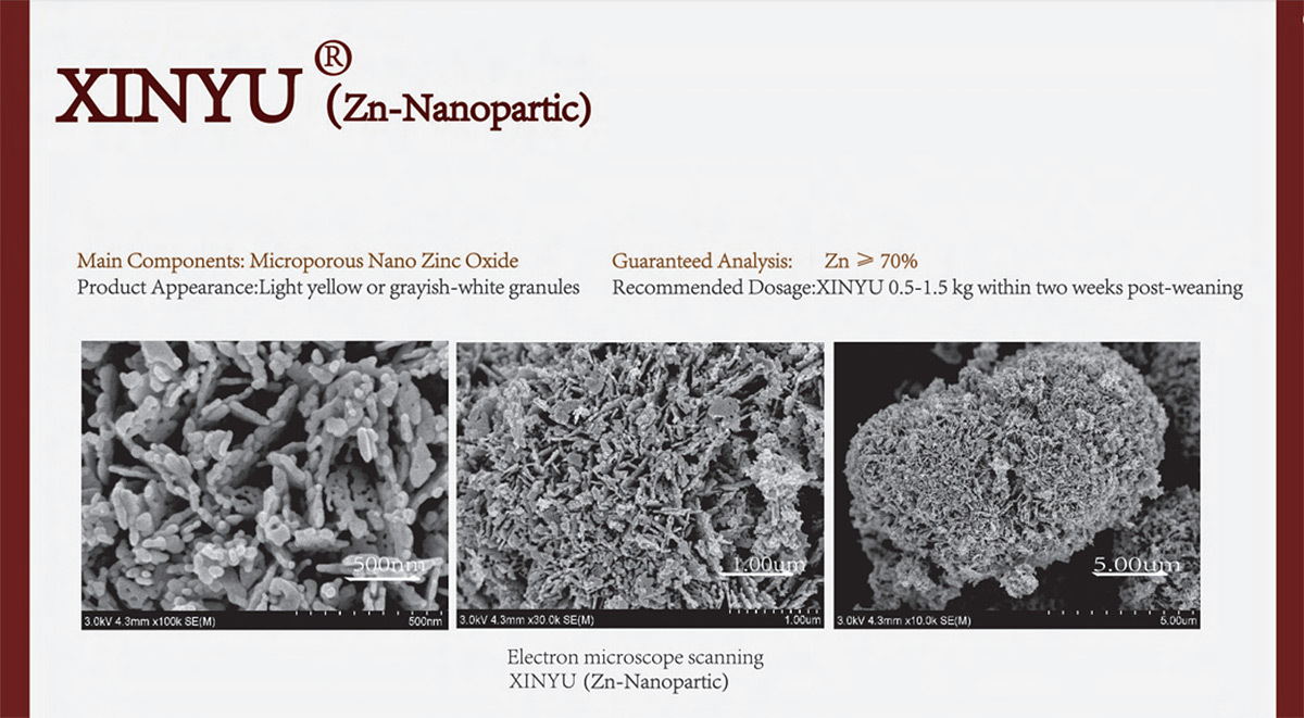  Fantast Bio Technology