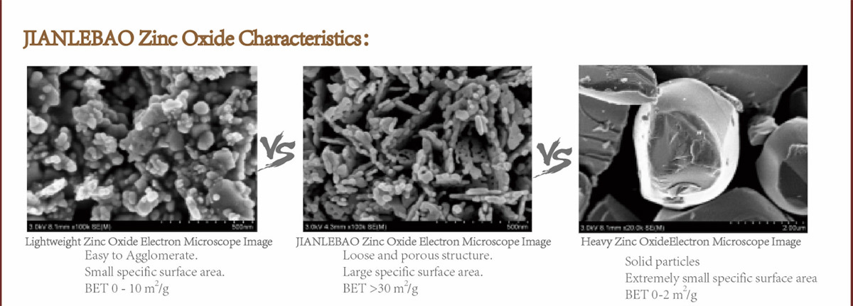  Fantast Bio Technology