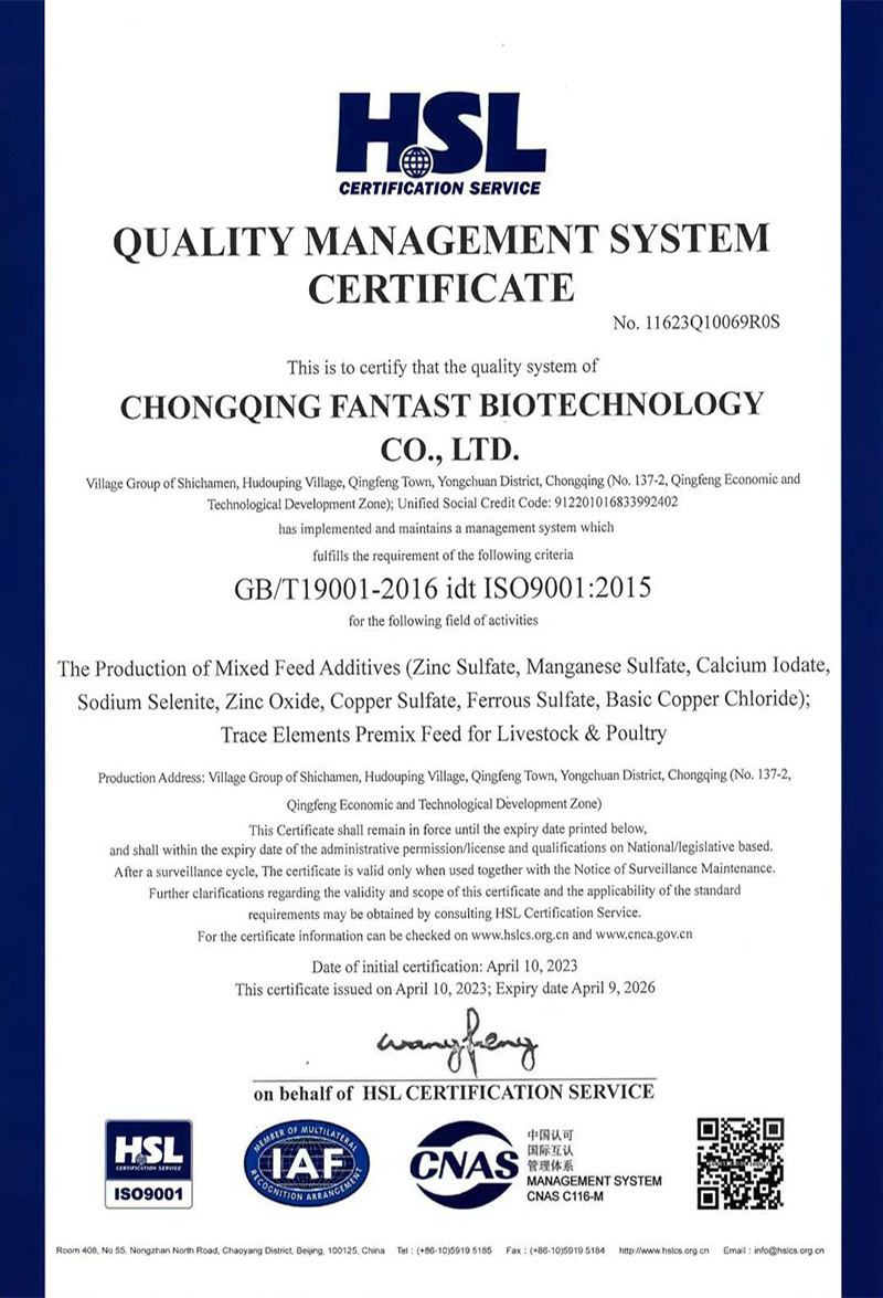 Quality Management Certification Certificate ISO9001 Quality Management Certification Certificate ISO9001