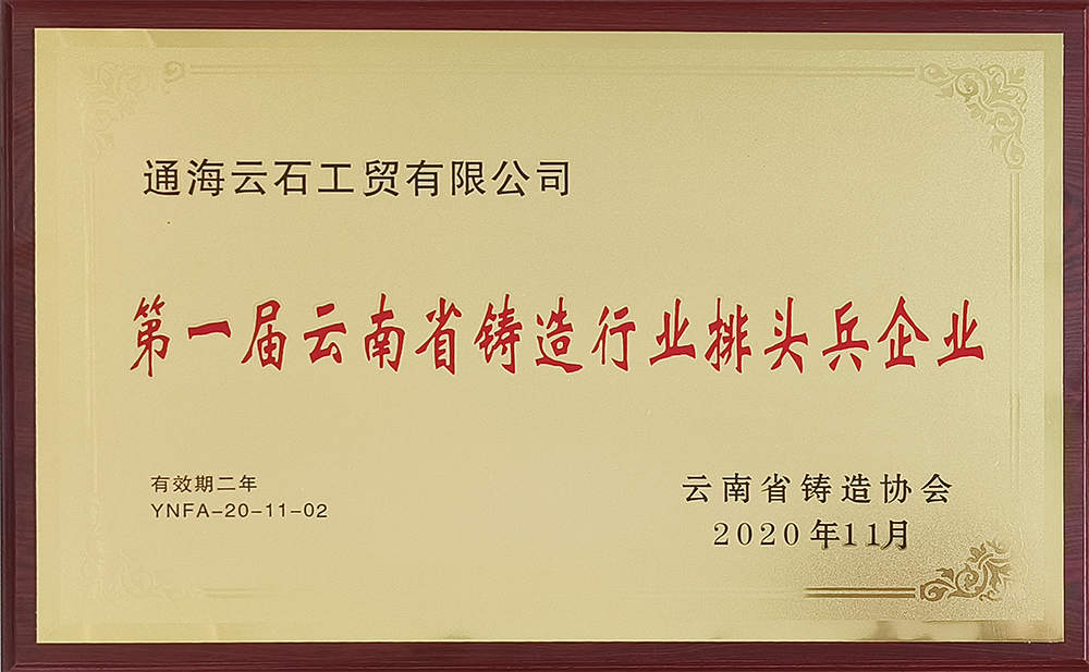 第一届云南省铸造行业排头兵企业