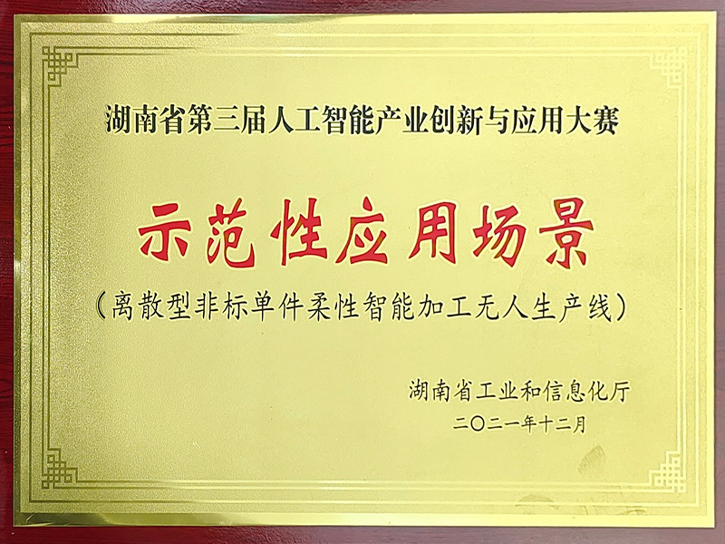 示范性应用场景