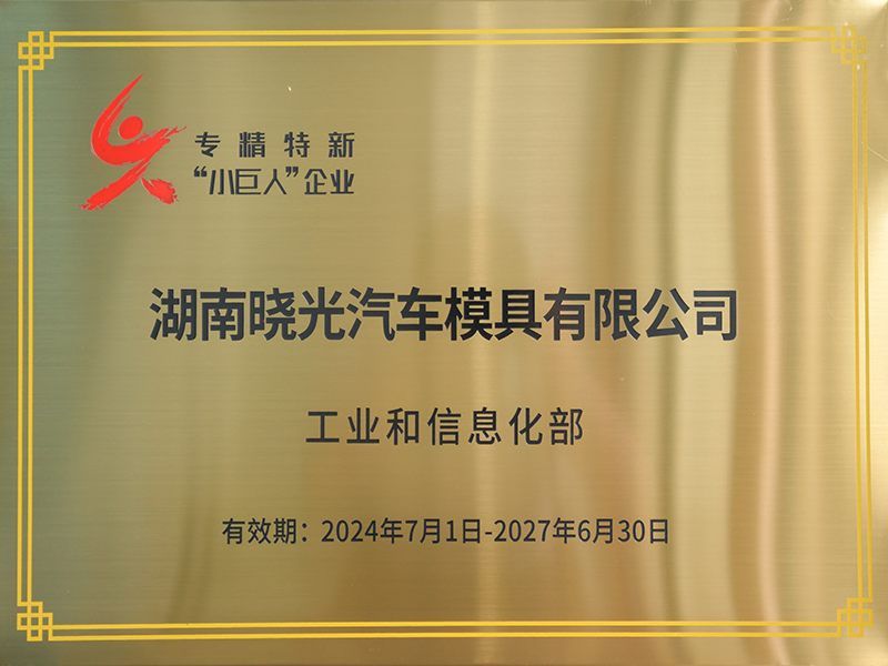 专精特新小巨人企业