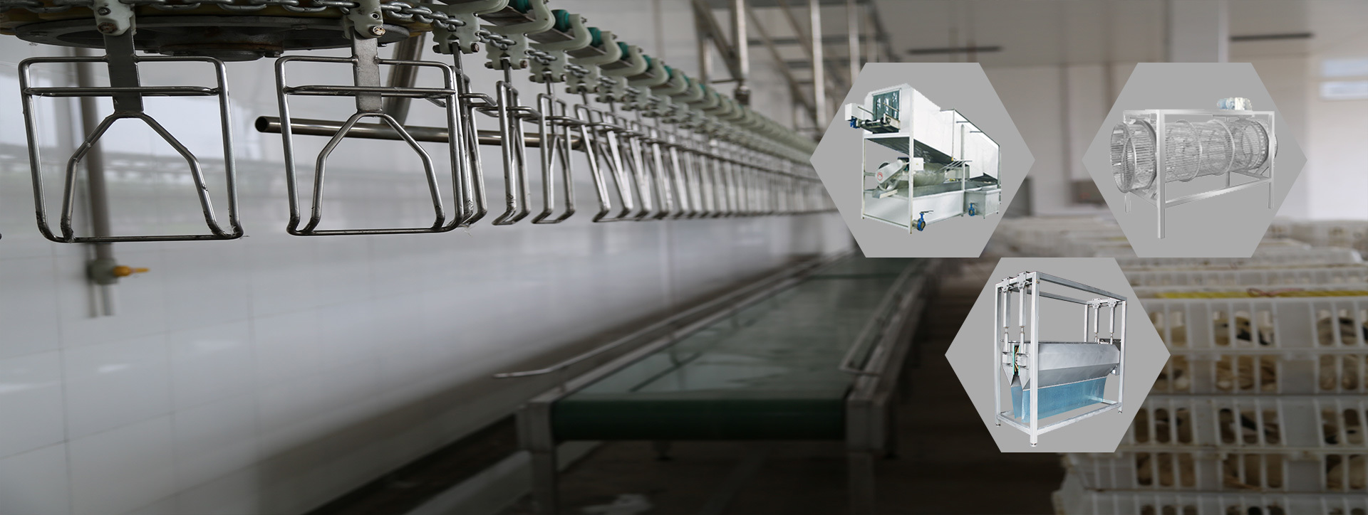 Poultry slaughtering equipment