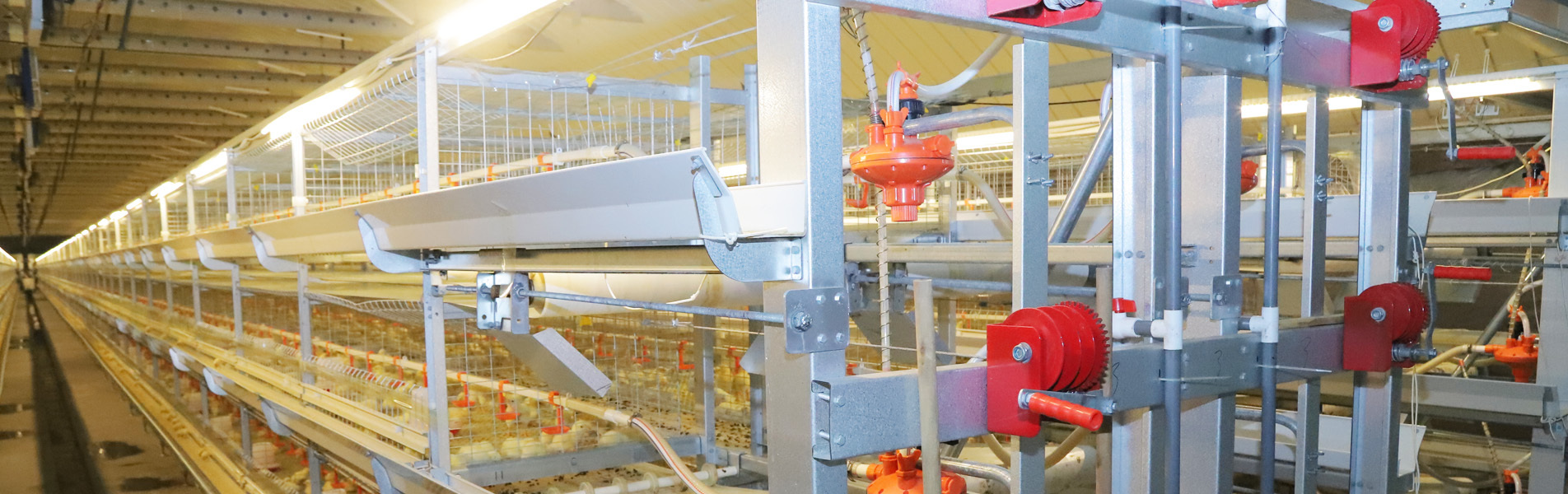 H type broiler cage equipment
