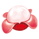 Chuangkeqi Foods Technology Co., Ltd. Chuangkeqi Foods Technology Co., Ltd.