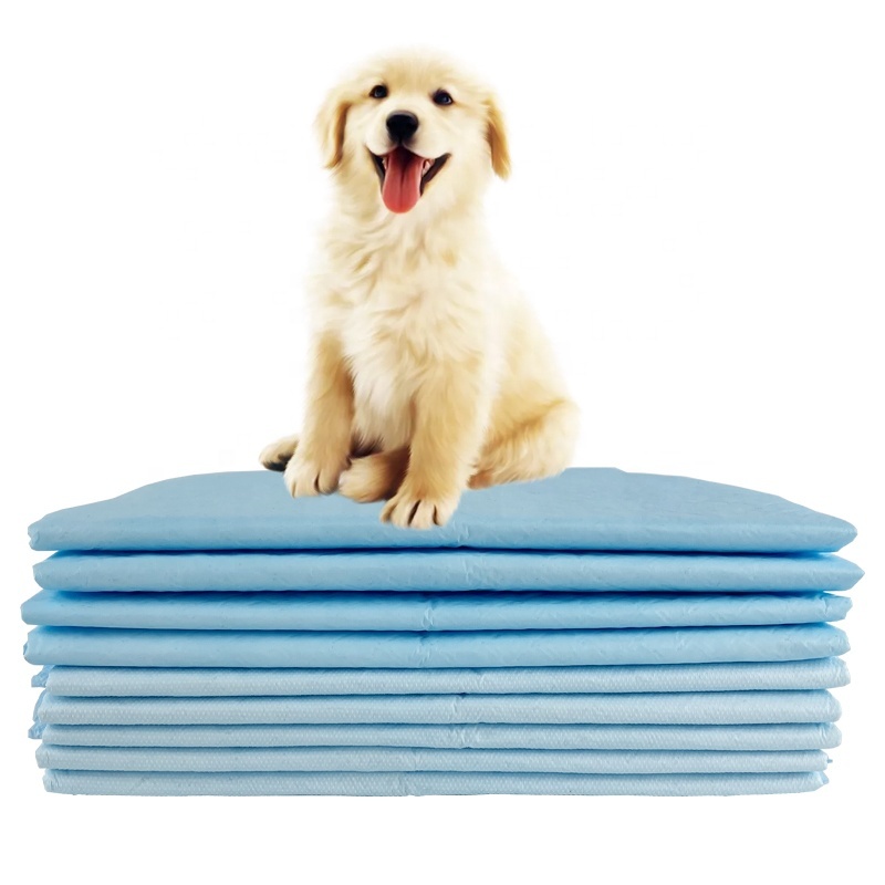 Cheap Price Free Sample Wholesale Disposable Puppy Dog Pee Training Pet Pad