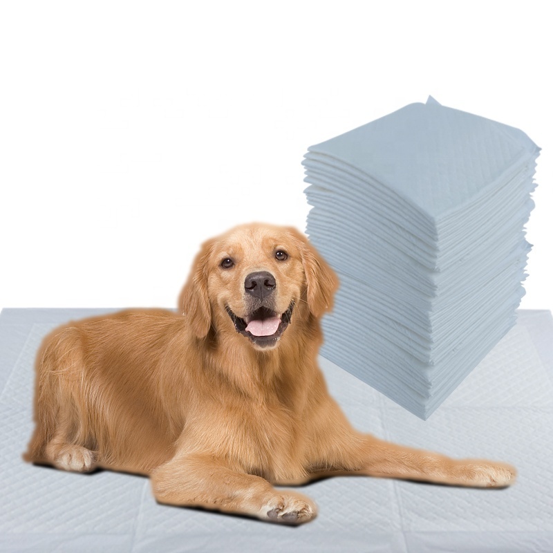 2022 Private Label High Quality Waterproof Leak Guard Disposable Cheap Price Puppy Training Pads for Dogs