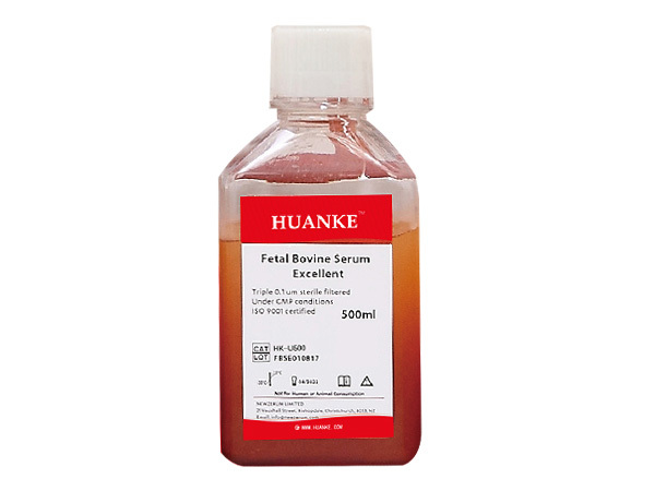 Fetal Bovine Serum, Premium A