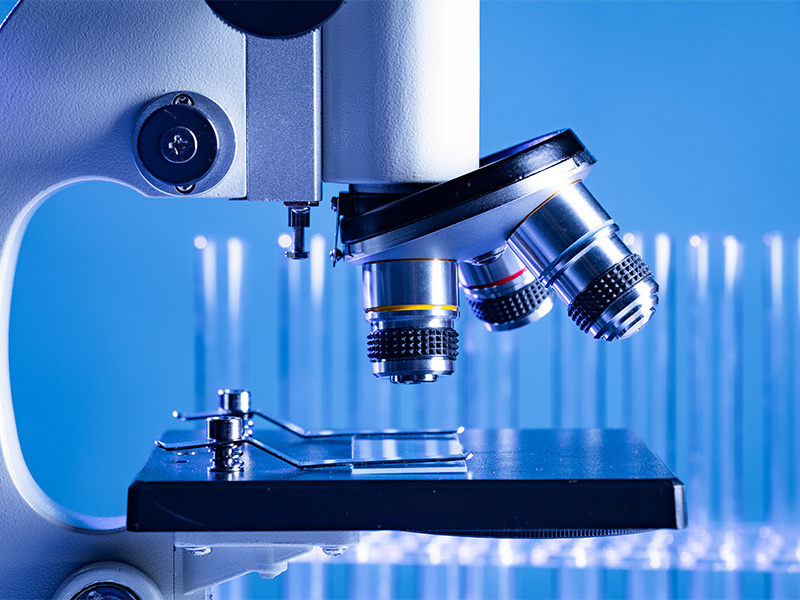 What is Bovine Serum Protein?