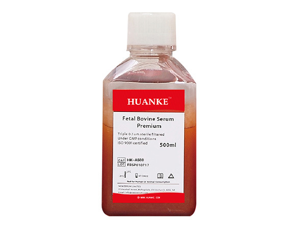 Fetal Bovine Serum Special Grade