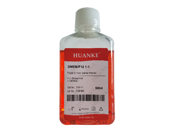 DMEM/F-12