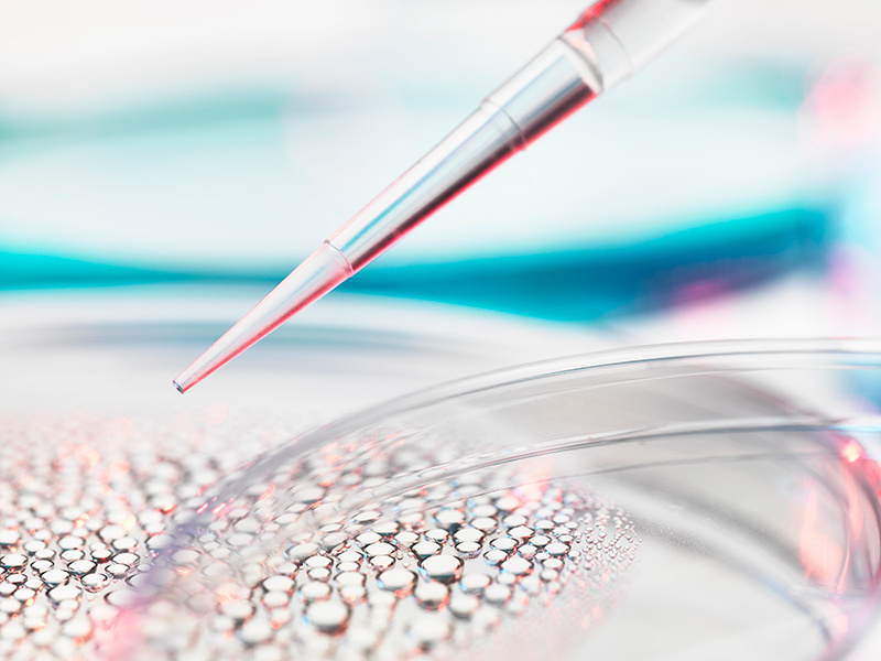 Storage Method of Bovine Serum Protein