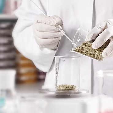 香港保健品加工厂的软胶囊生产优势解析