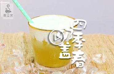 四季春奶蓋茶