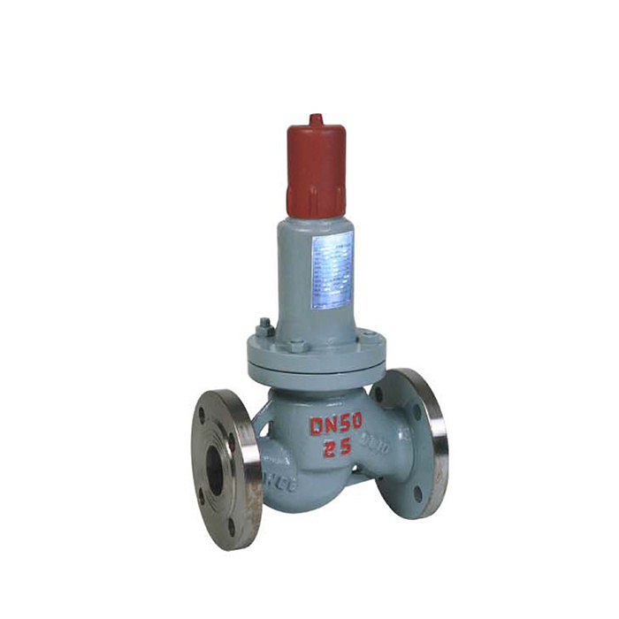 Back-flow Safety Valve