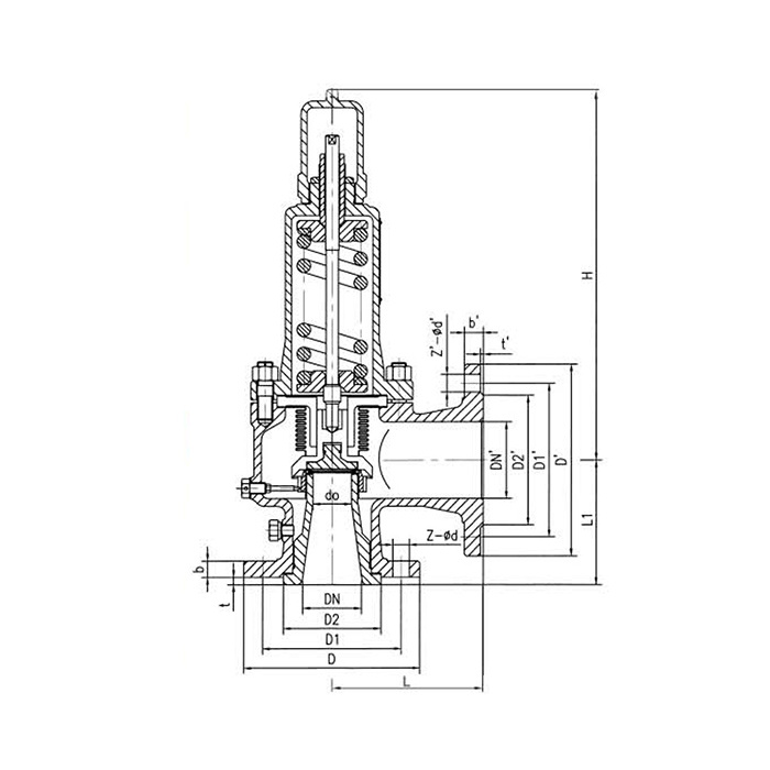 WA42C Type Pound-grade Balance Bellows Spring Loaded Safety Valve
