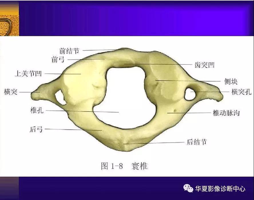 迪恩醫(yī)療