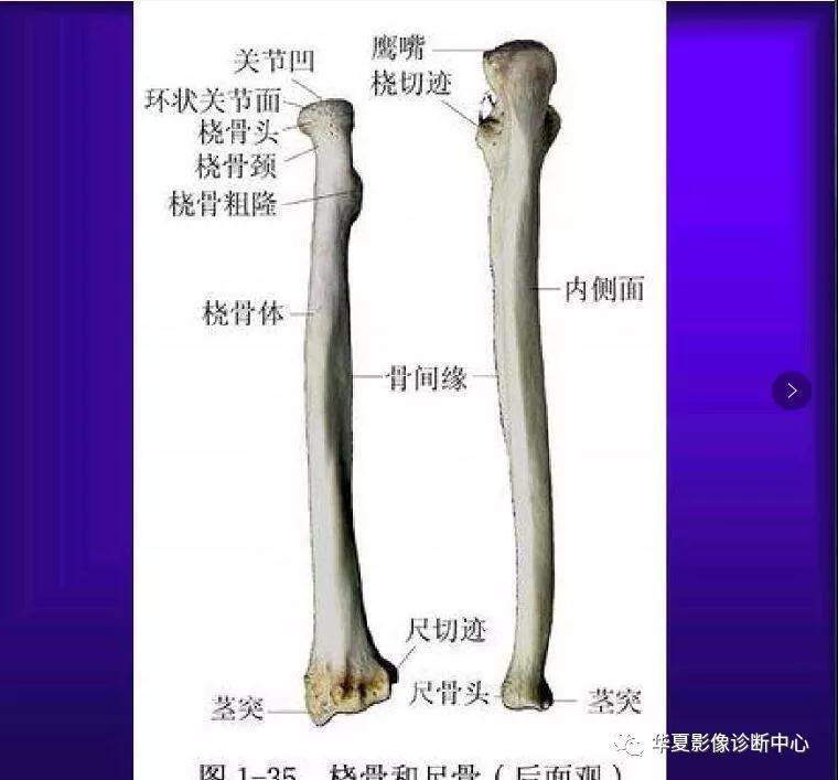 迪恩醫(yī)療