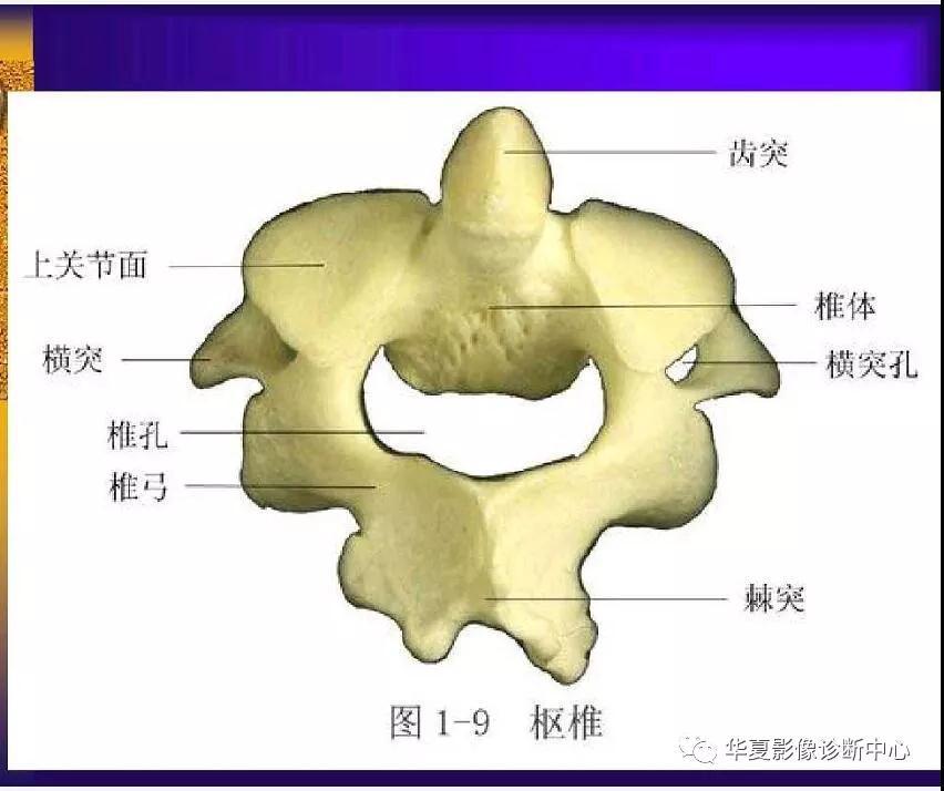 迪恩醫(yī)療