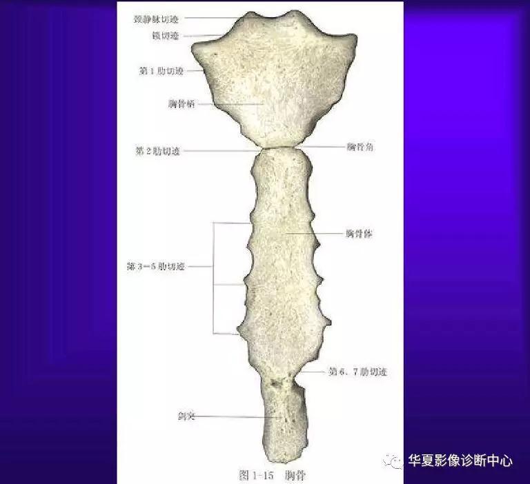 迪恩醫(yī)療