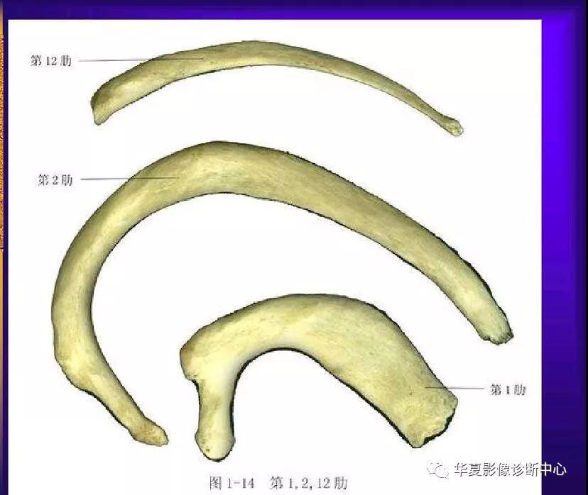 迪恩醫(yī)療