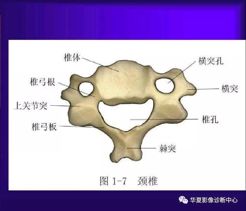 迪恩醫(yī)療
