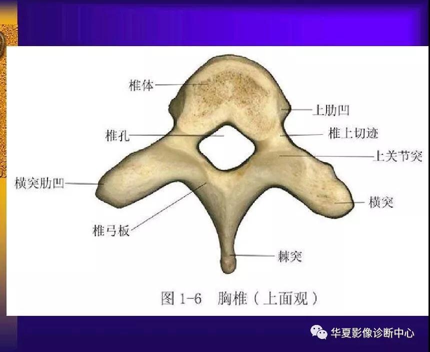 迪恩醫(yī)療