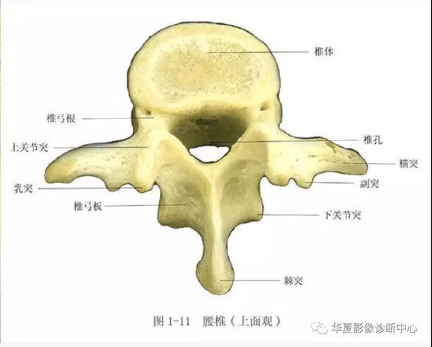 迪恩醫(yī)療