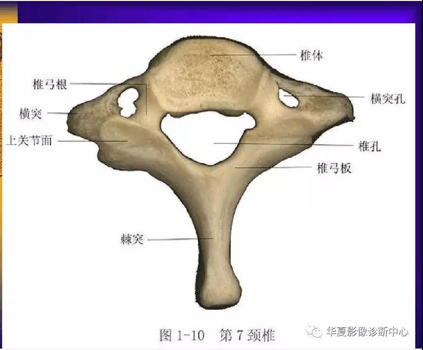 迪恩醫(yī)療