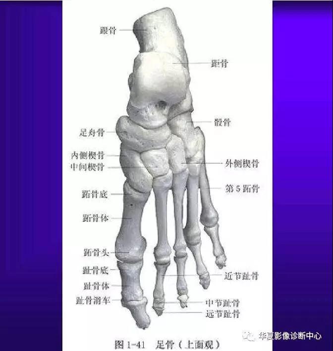 迪恩醫(yī)療