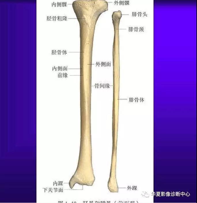 迪恩醫(yī)療