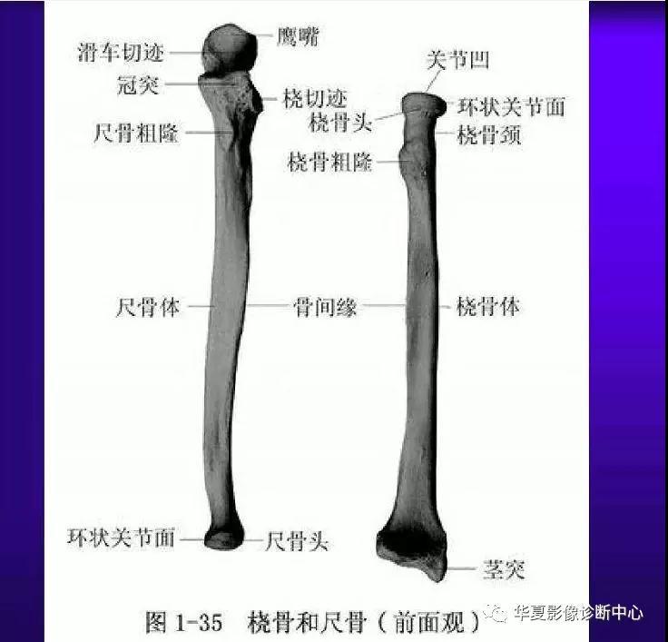 迪恩醫(yī)療