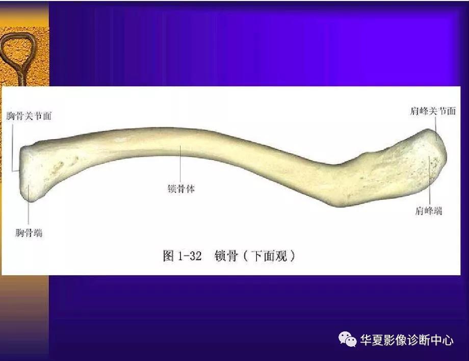 迪恩醫(yī)療