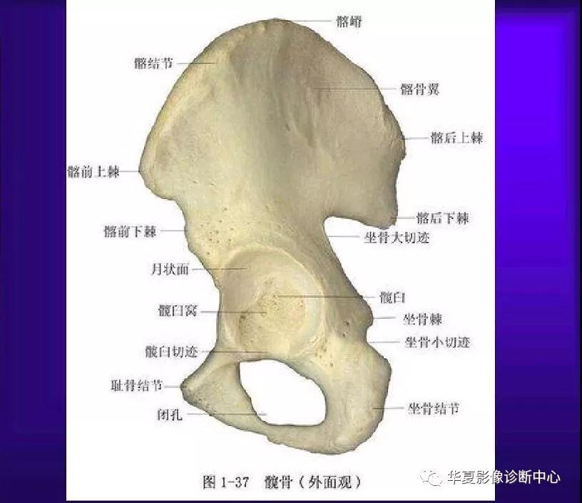 迪恩醫(yī)療