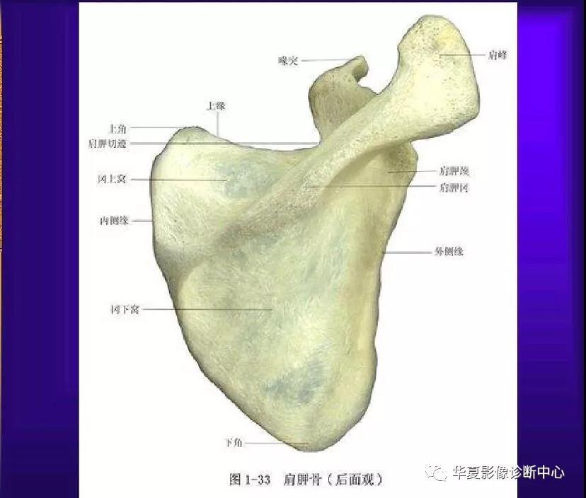 迪恩醫(yī)療