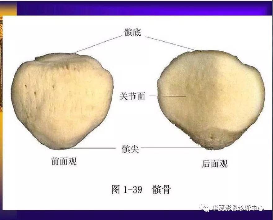 迪恩醫(yī)療