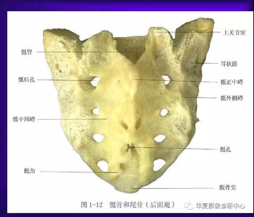 迪恩醫(yī)療