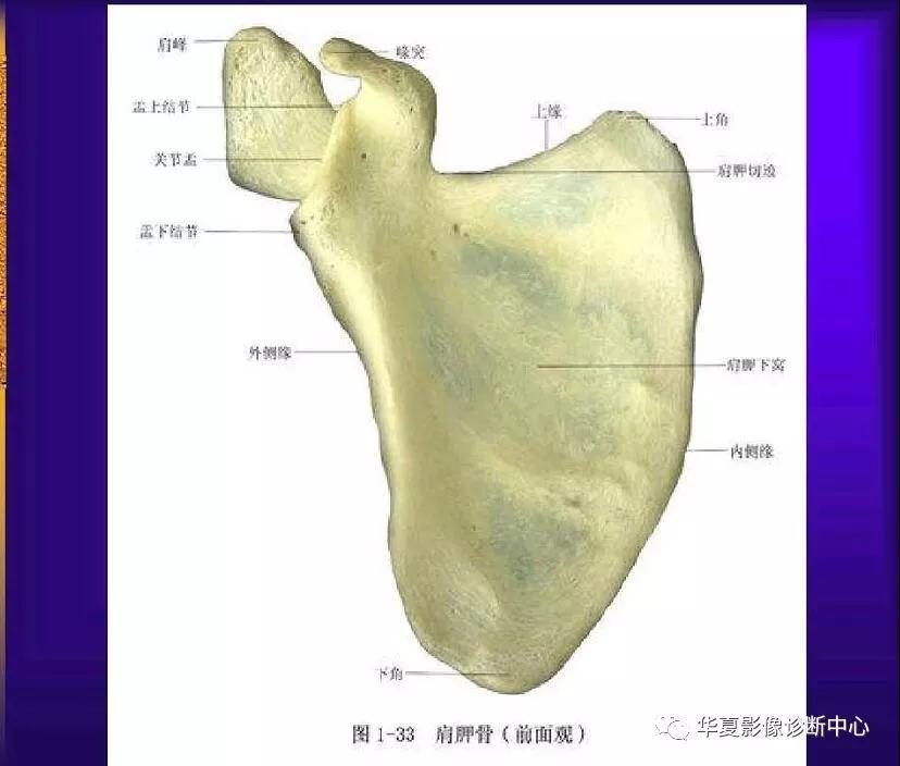 迪恩醫(yī)療