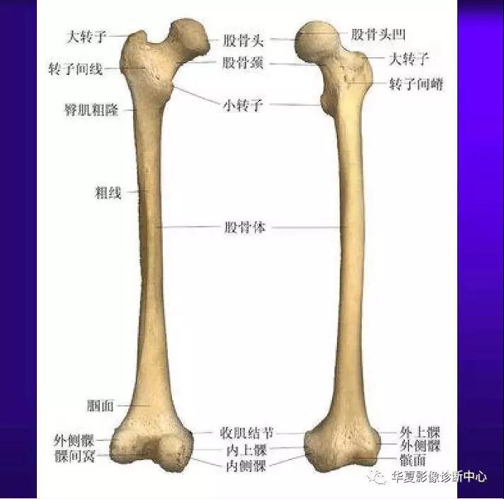 迪恩醫(yī)療