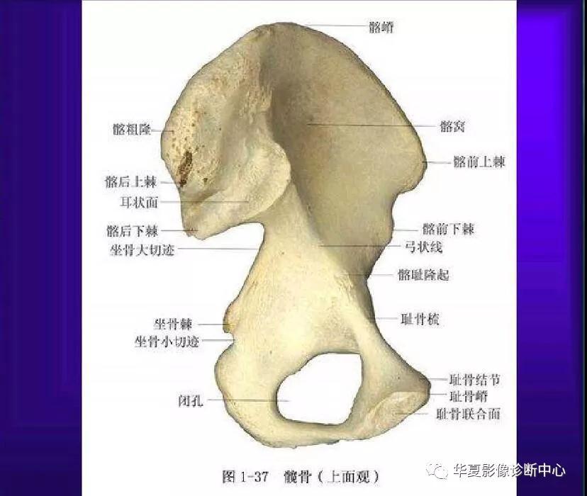 迪恩醫(yī)療